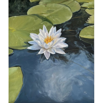 Water Lily